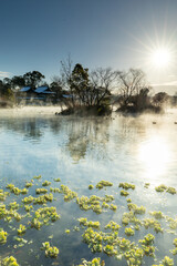 冬の熊本　浮島神社