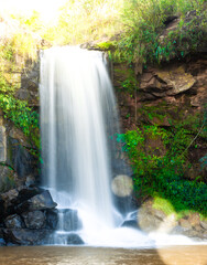 Obraz premium waterfall in the forest