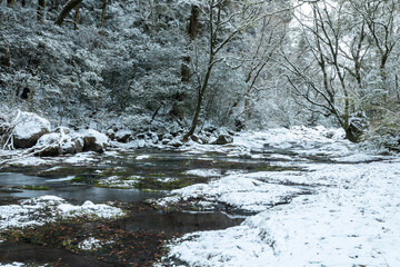 冬の熊本　菊池渓谷　雪景色