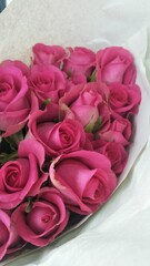 pink roses bouquet