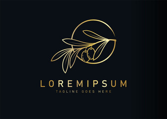 Golden olive branch logo design. Vector illustration of botanical olive with circle. Vintage logo design vector line icon template
