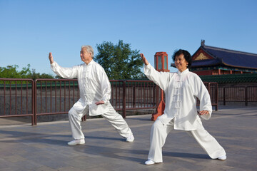 Two old people playing Tai Chi in the park