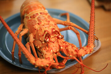 western rock lobster on the table