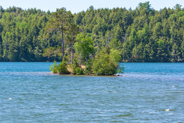 Obraz premium Island on a Lake, Wisconsin, USA