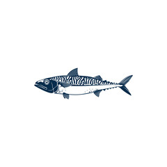 Mackerel common name of different species of pelagic fish, family Scombridae. Vector Short indian mackerel, Atlantic chub Wahoo scombrid fish. Underwater animal, fishing sport trophy isolated