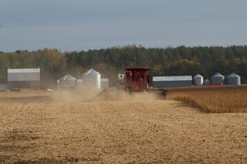 Fototapeta premium combine harvester working on a field in canada