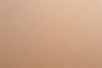 Sheet of brown paper texture for background.