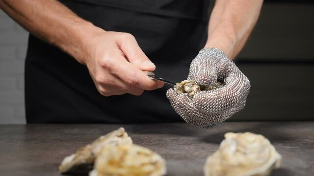 Luxury seafood in restaurant. Skilled male chef opens fresh oyster with hand in protective Chain Mail Glove and special short knife. Slow motion. Full hd