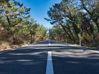 Fototapeta premium 富津岬にある道路