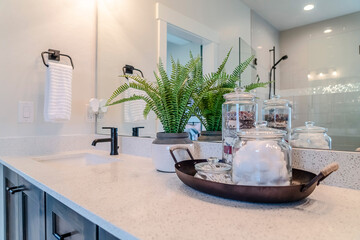 Clean interior of bathroom with fern and tray of hygiene items beside the sink