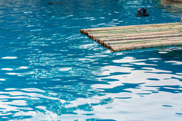 bamboo raft on blue pool