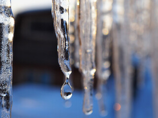 Icicles and a drop of melt water close-up. Snow melting. The beginning of the warm season, the end...