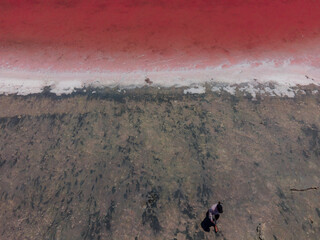 Pink Lake Western Australia 