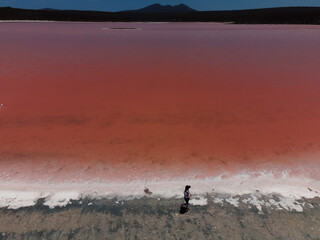 Fototapeta na wymiar Pink Lake Western Australia 