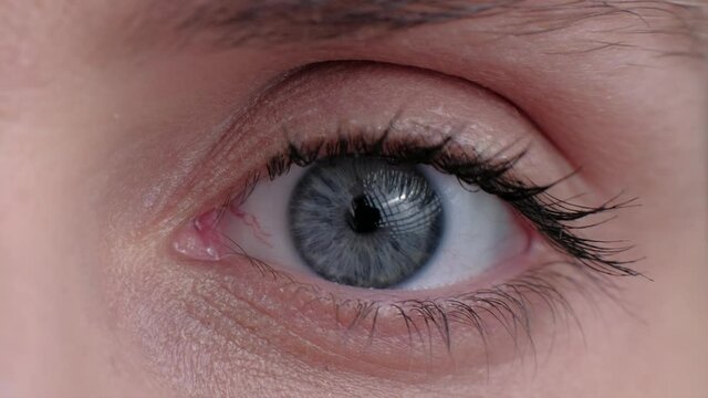 Beautiful constriction of the pupil. Extreme close up of a cute woman beautiful gray eye, she looking at camera. 4k. Concept of healthy vision. 