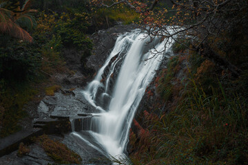 waterfall in the forest