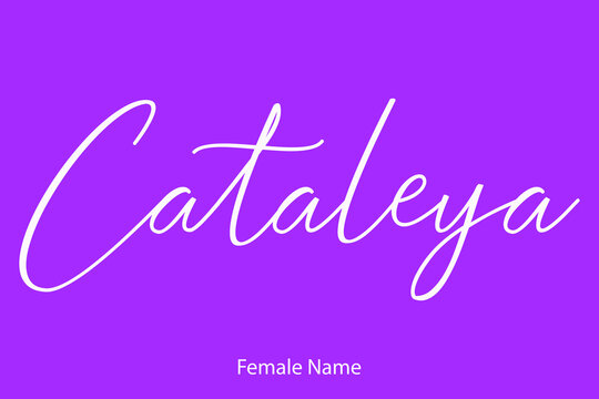 Cataleya Woman's Name. Typescript Handwritten Lettering Calligraphy Text on  Purple Background Stock Vector | Adobe Stock