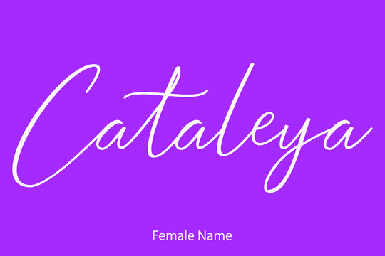 Cataleya Woman's Name. Typescript Handwritten Lettering Calligraphy Text on Purple Background