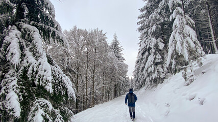 Schwarzwald im Winter