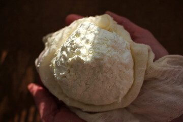 Close-up of female hands with freshly made cottage cheese wrapped in cheese cloth.
