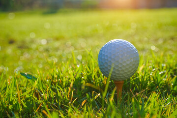 Golf ball on tee in the evening golf course with sunshine background. Golf ball on the green with warm tone and sunset.