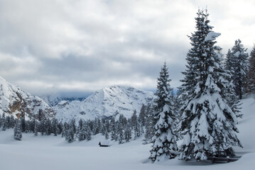 Fototapeta na wymiar Winter in den Pragser Dolomiten. Blick auf den Monte Cristallo.