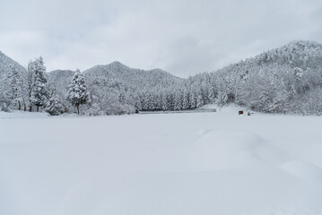 Fototapeta na wymiar 雪が降って、一面真っ白の山の風景