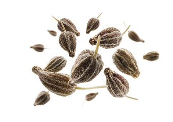 Anise seeds levitate on a white background