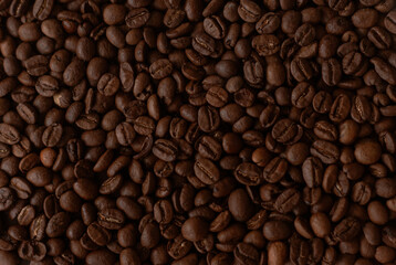 Coffee beans texture close up