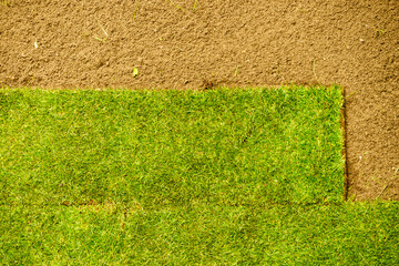 Laying sod for the new lawn.