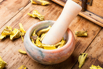 Barberry root in herbal medicine