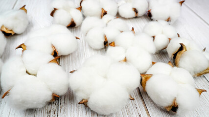 Flat lay composition with cotton flowers on white wooden background