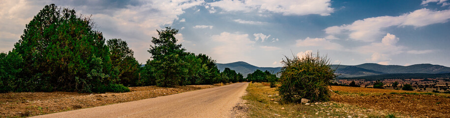 Agriculture planting areas. Steppe landscape. Beautiful blue sky. Sunny summer day. Country road. Panoramic shot. High resolution sharp photo. Panorama banner.