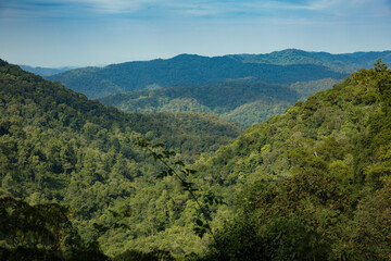 Naklejka premium Uganda wildlife