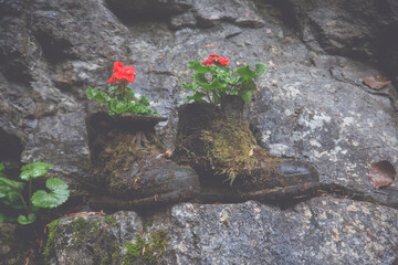 Two shoes as a decoration with flowers