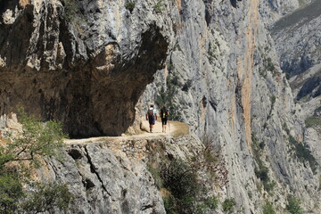 Fototapeta na wymiar Landscape on the Cares route, in the Picos de Europa, in Leon, Spain