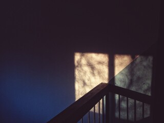 The shadow of the window