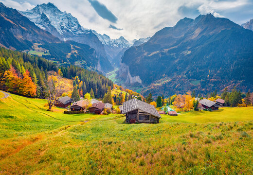 Beautiful autumn scenery. Colorful autumn view of Wengen village, district of Lauterbrunnen. Gloomy morning scene of Swiss Alps. Nice autumn landscape of Switzerland countryside, Europe.