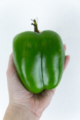 Fresh green pepper with a green stalk, lies in a hand on an isolated white background. Fresh vegetables.