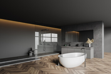 Fototapeta na wymiar Modern gray bathroom corner with tub and shower