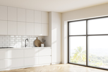 Fototapeta na wymiar White kitchen corner with cupboards