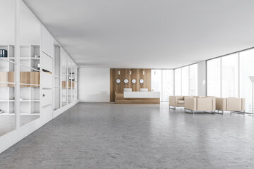 White big office hall with reception desk and armchairs for clients near window
