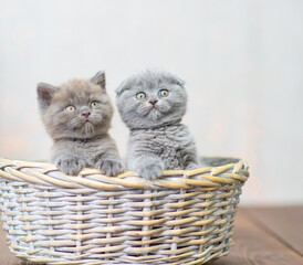 Two fluffy little kittens sit in a wicker basket
