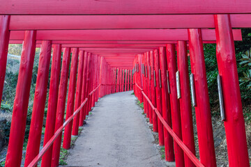 君は元乃隅稲成神社へ行ったことがあるかい？もし、まだなら一度行ってみよう！