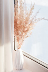 Pampas grass in white vase on windowsill with white curtains. minimalistic pampa concept. New Trendy Home Decor. 