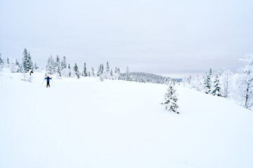 Fototapeta na wymiar Cross country skiing in the mountains. Family activity.