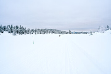 Cross country skiing in the mountains.  Family activity.