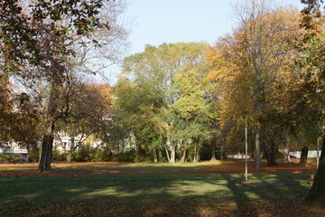 Autumn. Fall nature scene. Autumnal park.