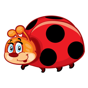 cute ladybug character, cartoon illustration, isolated object on white background, vector,