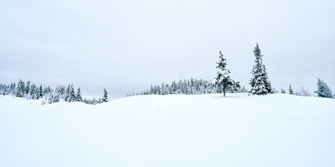 Cross country skiing in the mountains.  Family activity.